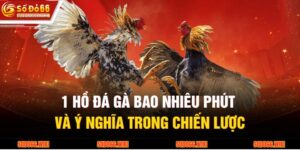 1 Hồ Đá Gà Bao Nhiêu Phút