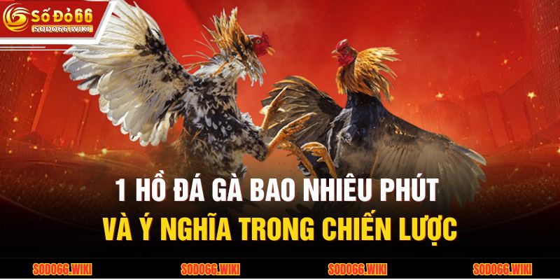 1 Hồ Đá Gà Bao Nhiêu Phút Và Ý Nghĩa Trong Chiến Lược 1 1 Hồ Đá Gà Bao Nhiêu Phút
