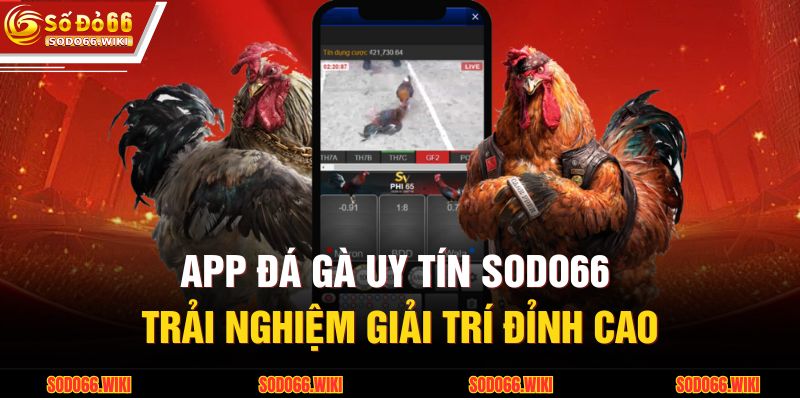 App Đá Gà Uy Tín SODO66