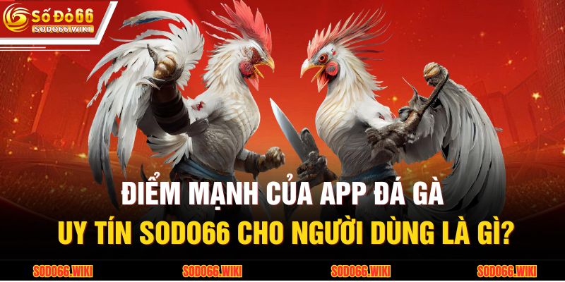 Điểm mạnh của app đá gà uy tín SODO66 cho người dùng là gì?