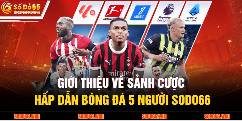 Giới thiệu về sảnh cược hấp dẫn bóng đá 5 người SODO66
