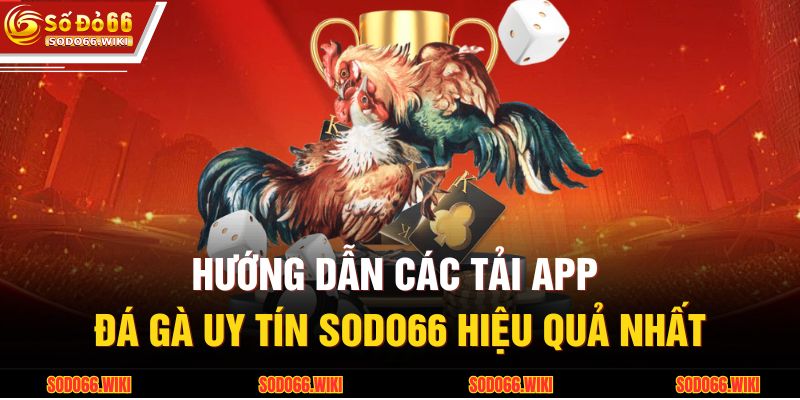 Hướng dẫn các tải app đá gà uy tín SODO66 hiệu quả nhất