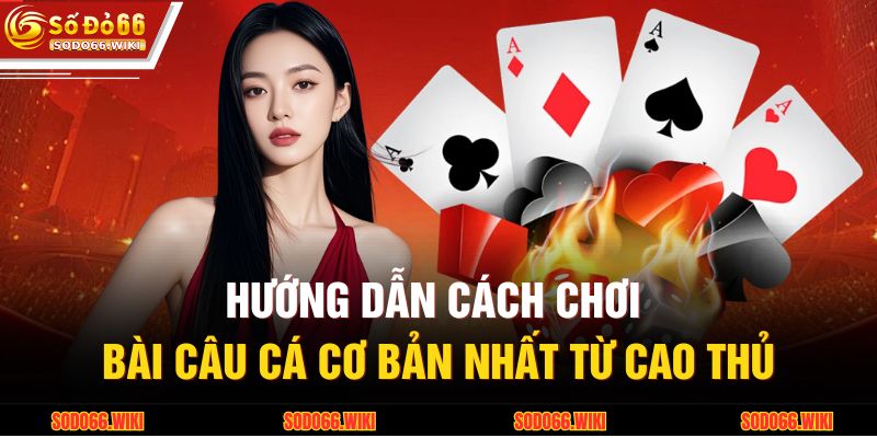Cách Chơi Bài Câu Cá Chuẩn Xác Tại SODO66 Cho Người Mới 3 Hướng dẫn cách chơi bài câu cá cơ bản nhất từ cao thủ