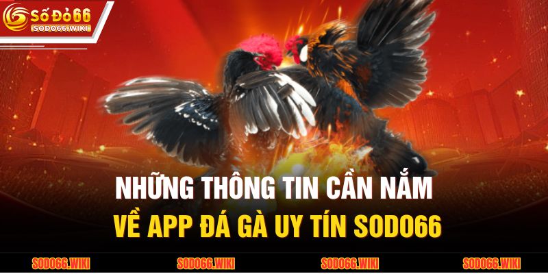 Những thông tin cần nắm về app đá gà uy tín SODO66