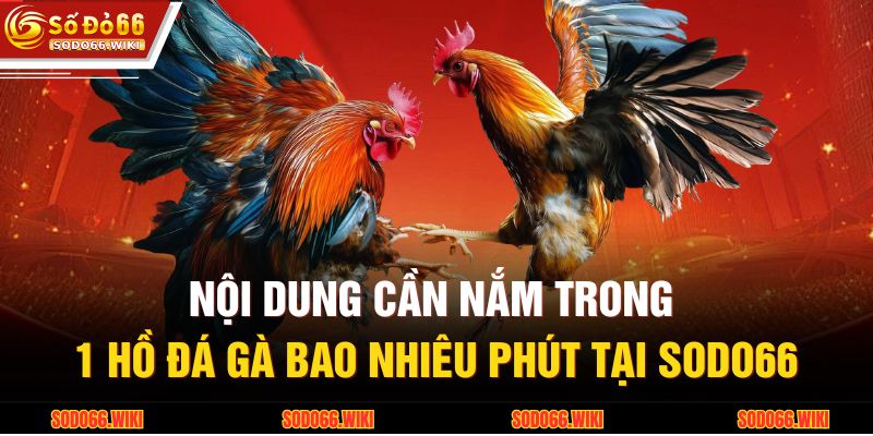 1 Hồ Đá Gà Bao Nhiêu Phút Và Ý Nghĩa Trong Chiến Lược 3 Nội dung cần nắm trong 1 hồ đá gà bao nhiêu phút tại SODO66