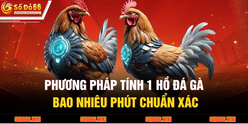 1 Hồ Đá Gà Bao Nhiêu Phút Và Ý Nghĩa Trong Chiến Lược 4 Phương pháp tính 1 hồ đá gà bao nhiêu phút chuẩn xác