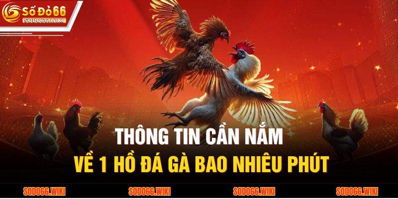 1 Hồ Đá Gà Bao Nhiêu Phút Và Ý Nghĩa Trong Chiến Lược 2 Thông tin cần nắm về 1 hồ đá gà bao nhiêu phút