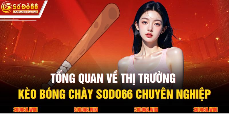 Tổng quan về thị trường kèo bóng chày SODO66 chuyên nghiệp