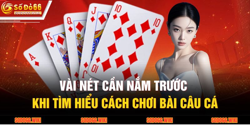 Cách Chơi Bài Câu Cá Chuẩn Xác Tại SODO66 Cho Người Mới 2 Vài nét cần nắm trước khi tìm hiểu cách chơi bài câu cá