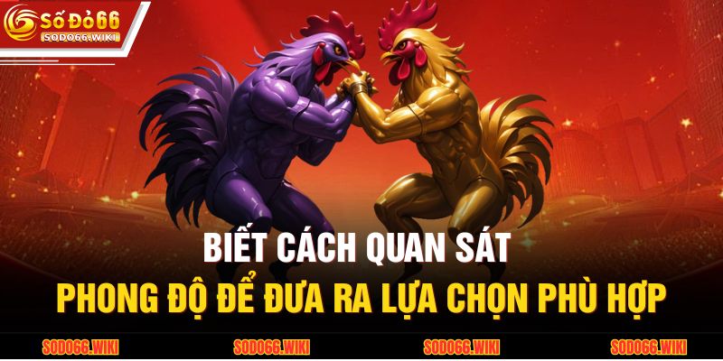 Biết cách quan sát phong độ để đưa ra lựa chọn phù hợp