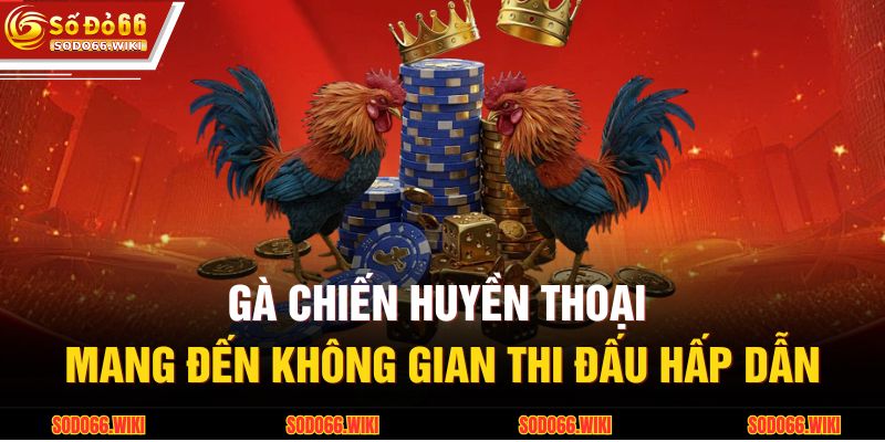 Gà Chiến Huyền Thoại mang đến không gian thi đấu hấp dẫn