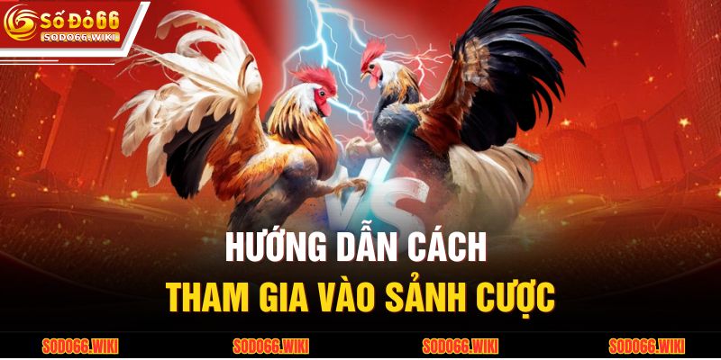 Hướng dẫn cách tham gia vào sảnh cược